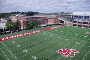 爱游戏体育-篮球专项体能训练监测技术及应用实践，篮球项目的体能训练方法